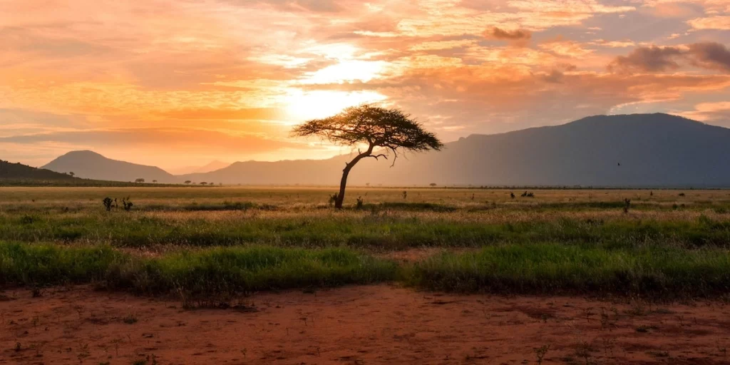 kenya landscape