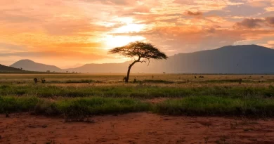 kenya landscape