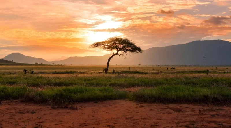 kenya landscape